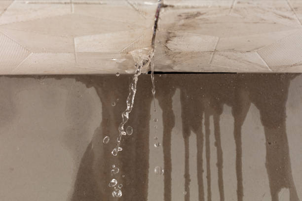 Professional Structural Drying technician working in Buckland, OH